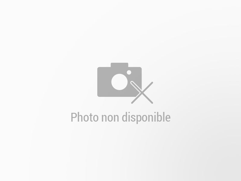 BYD Dolphin d’occasion à vendre à MARSEILLE